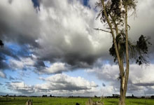 虎扑体育:刚满18!阿森纳盘点恩瓦内里6项纪录:队史18岁.