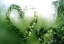 虎扑体育:中国三人篮球男队摘银创历史 女队获铜牌3-31 07:49.