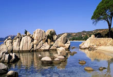 [中超]颜骏凌传球失误 马特乌斯断球打门得手.